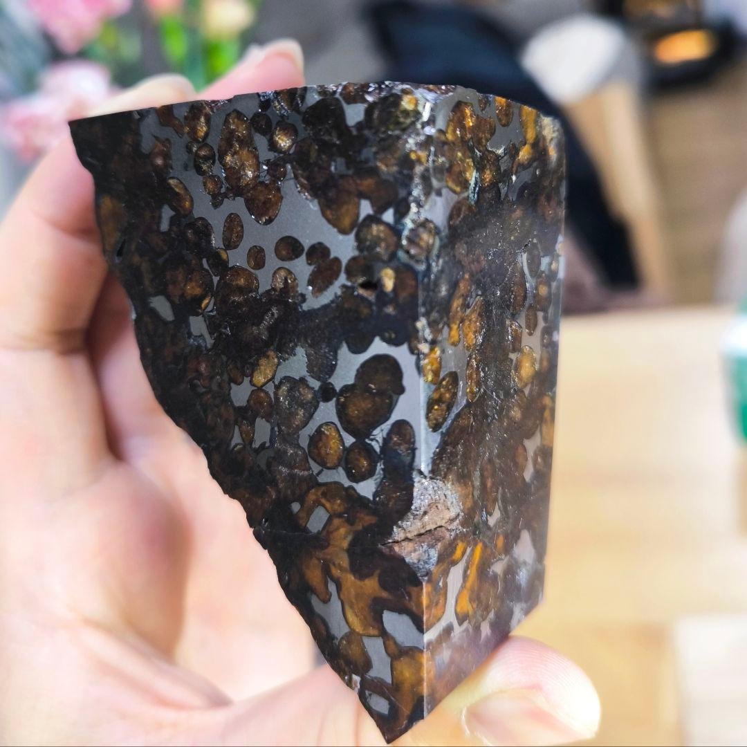 大型 セリコ隕石 435g 外皮付き パラサイト 石鉄隕石